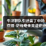 牛津联队引进雷丁中场查理-图3 牛津联队引进雷丁中场查理-图3